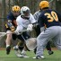 shane morrell2