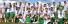 Chesco wins gold - Left to Right:   Front row  Cole Thomas and Alex Wagner.  Second Row:  Jack Colt, Kyle Anderson, Andrew Westby, Nicolas Cardile, Jack Marshal, Beau Schmeusser, Kyle Davis, Keyveat Postell, and Eli Goforth.  Third Row:  John Colt, Ryan Murray, Alex DeMarco, Ken DelGatto, Tyler Will, Saunders Heally, Jake Martellucci, Michael Bonadido, Ian Murray, Kohler Setley, Austin DelGatto, Beau Kush, Michael Burritt, Kevin Goforth, and Vince Bonadido.