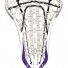 STX-Crux-10